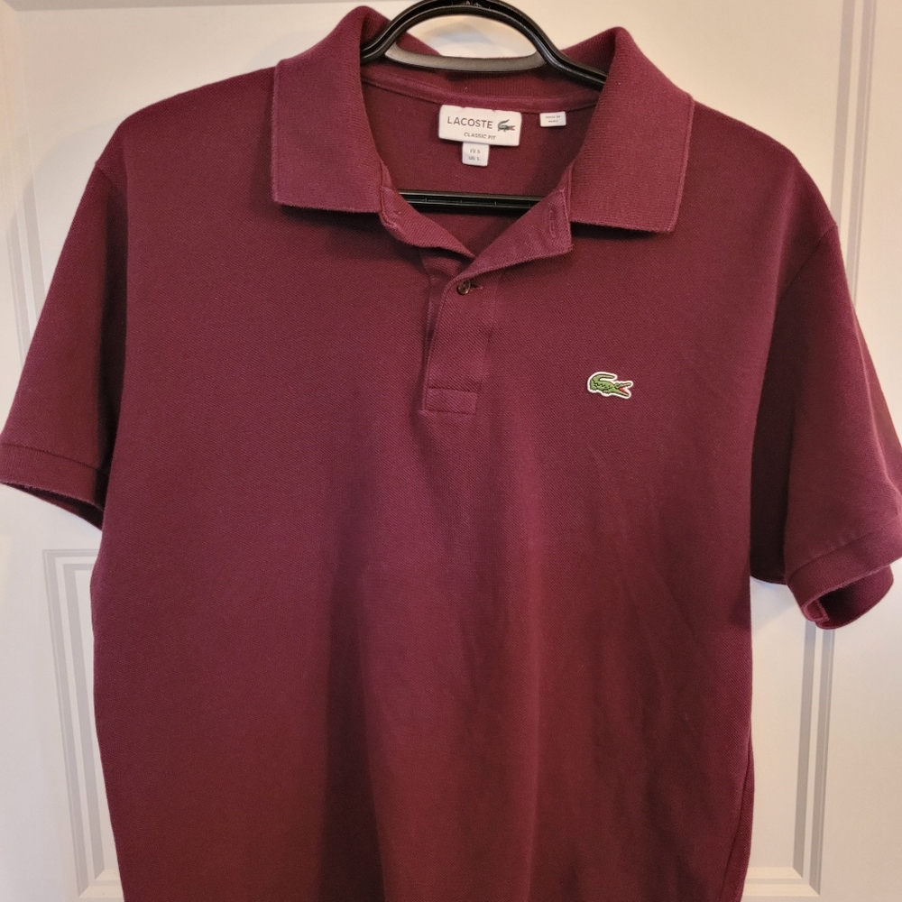 Men Lacoste polo